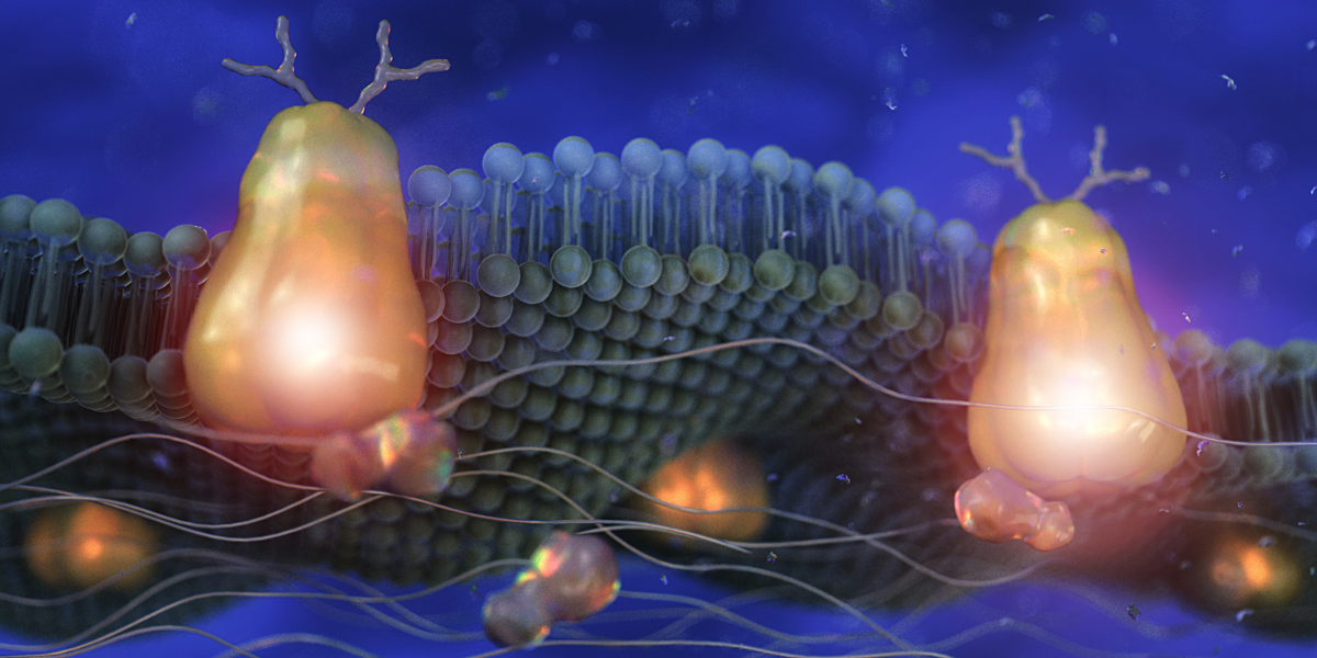 £1.4M funding for global lipid research database LIPID MAPS Babraham
